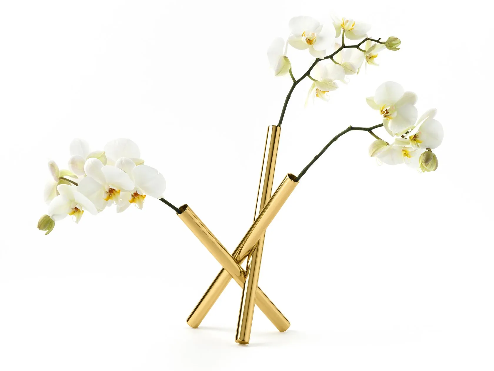 sticks flowers pot By GHIDINI1961